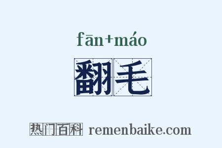翻毛是什么意思的图片